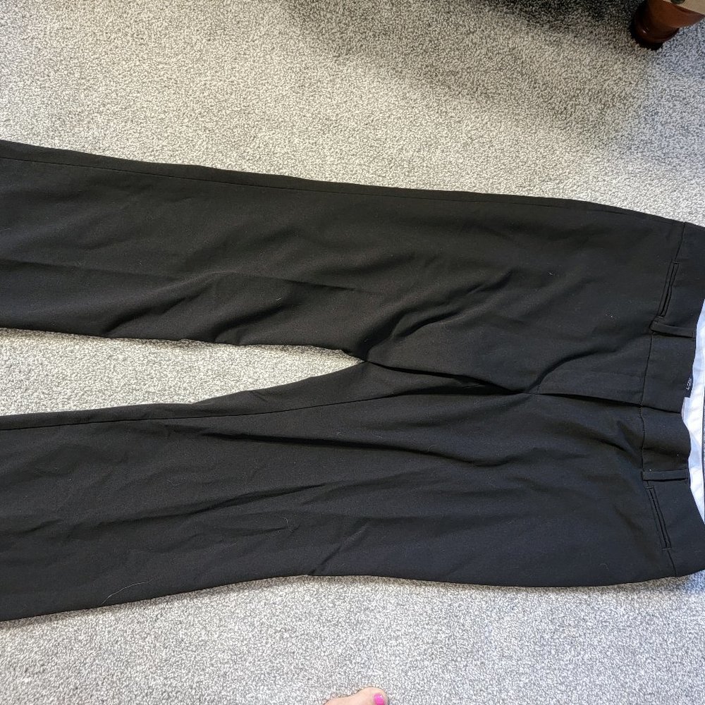 Ann Taylor Loft Dress Pants